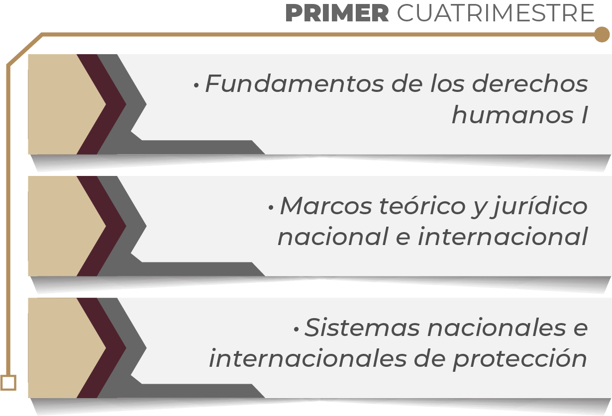 MAPA CURRICULAR GESTIÓN